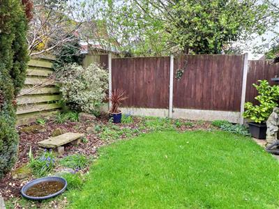 Picture 22